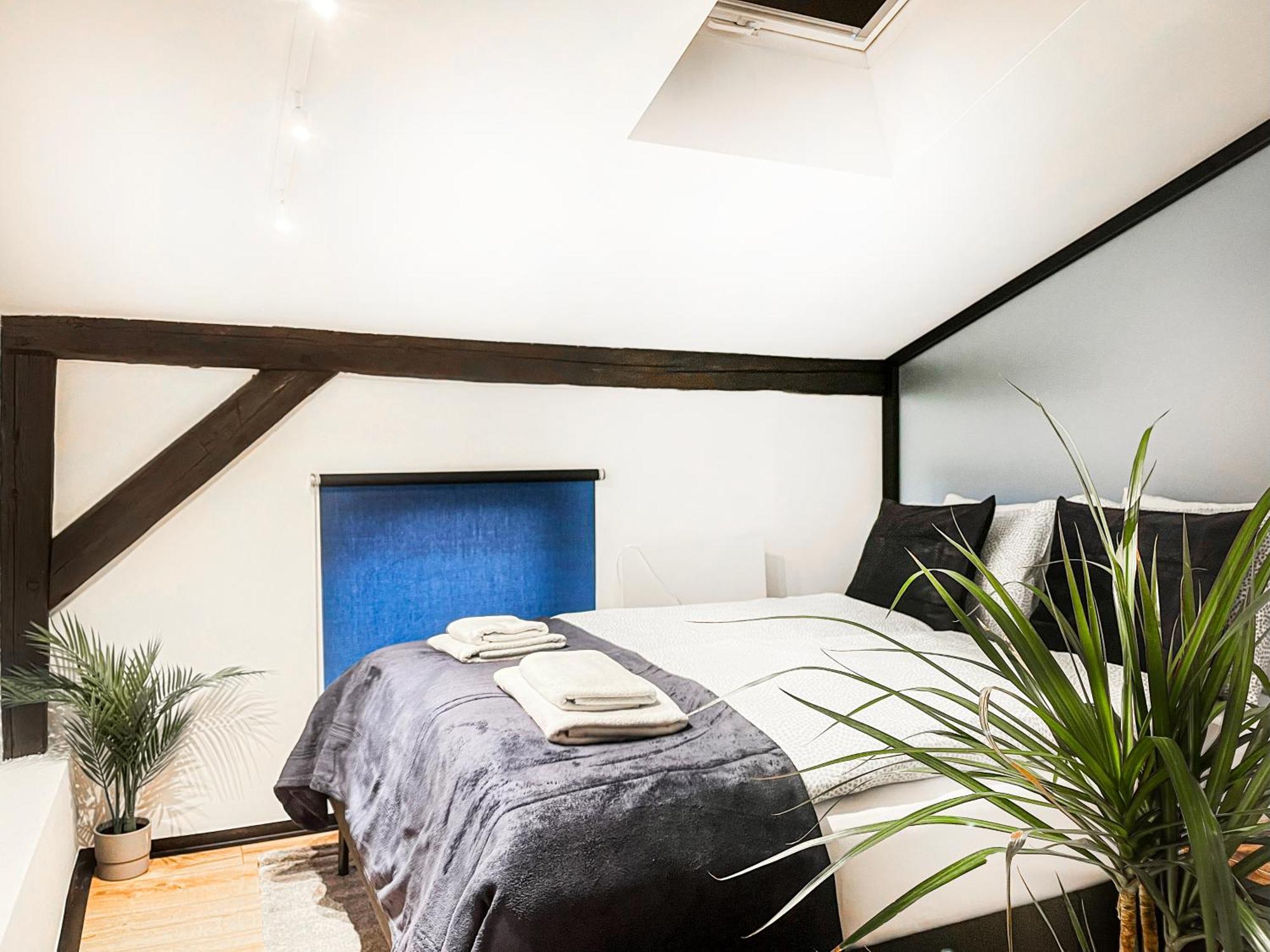 Premium Jacuzzi, Old Town Cracow * Krakau
